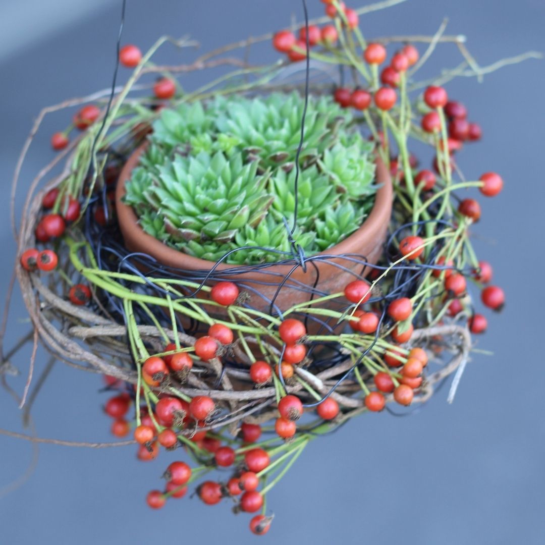DIY Anleitung für eine exklusive Herbstdekoration für draussen Blumen