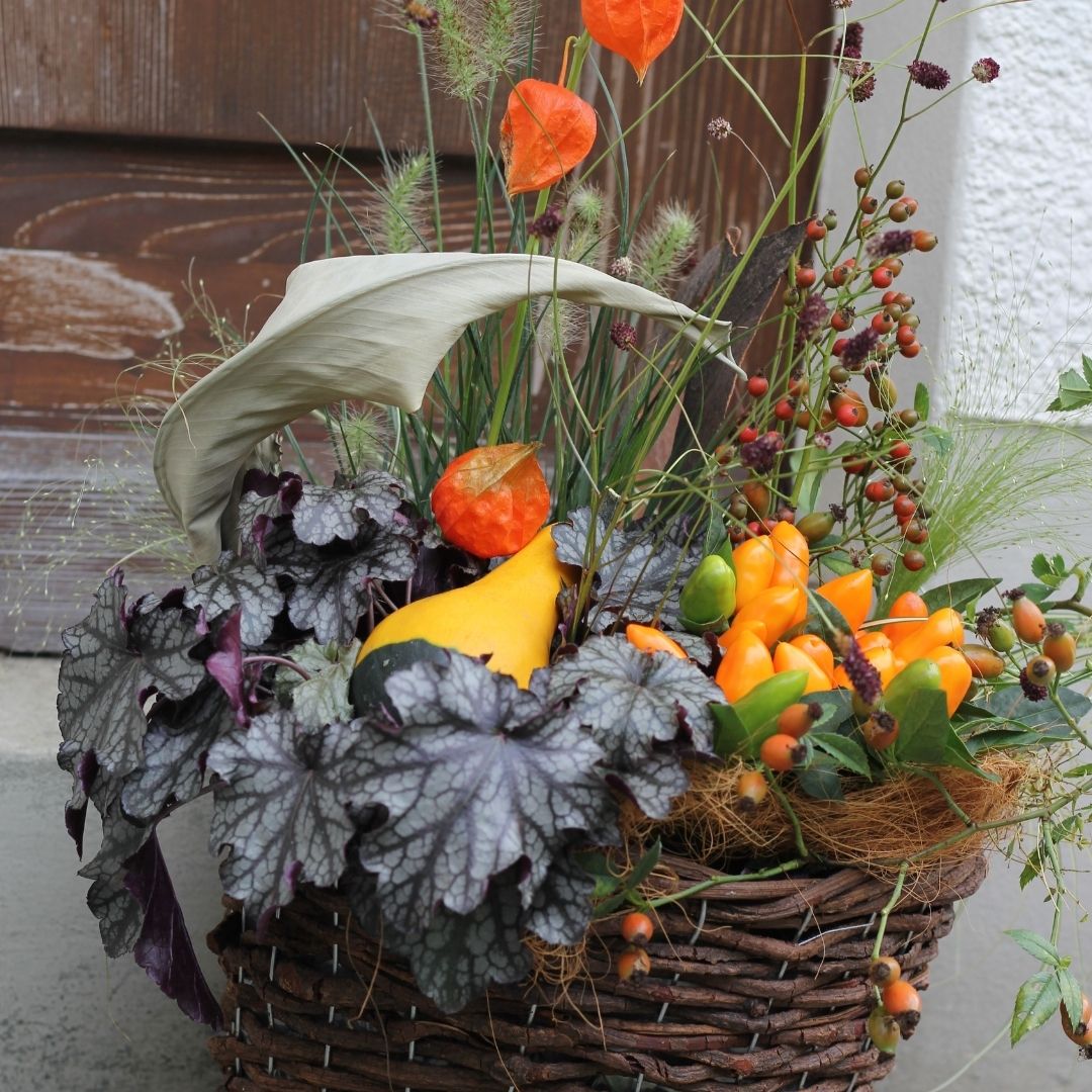 Herbstdekoration für draussen selber machen Blumen FloraLine
