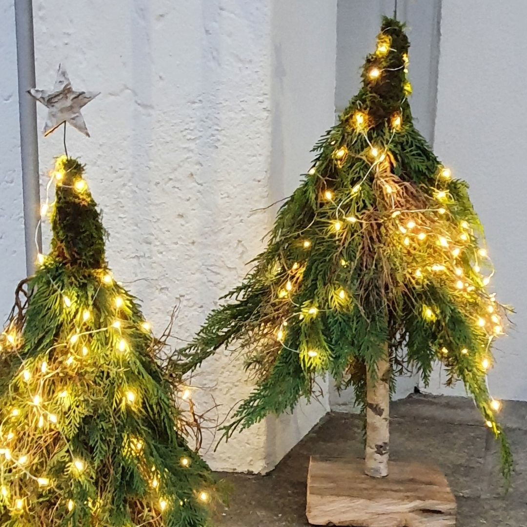 Weihnachtsbaum Selber Sgen