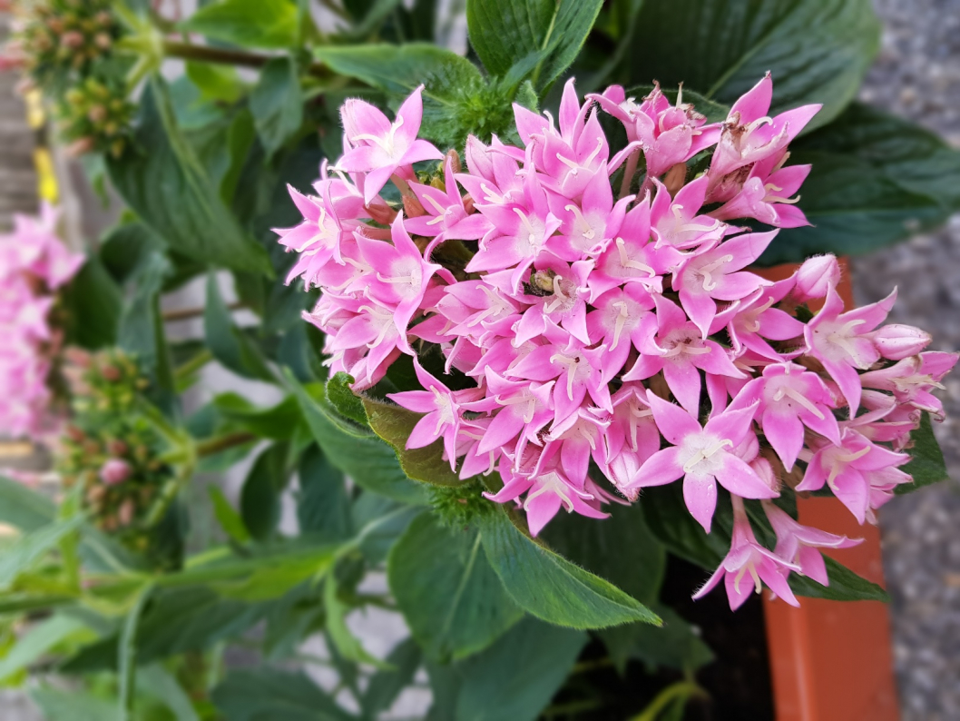 20190613_080609.jpg