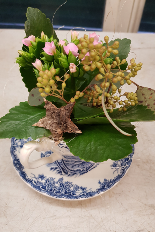 Alte-Tasse-aus-Brokenhaus-fuellen-Kalanchoe-pflanze.png
