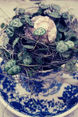 Alte-Tasse-aus-Brokenhaus-fuellen-ceropegia-pflanze-DIY-Deko-_2.png