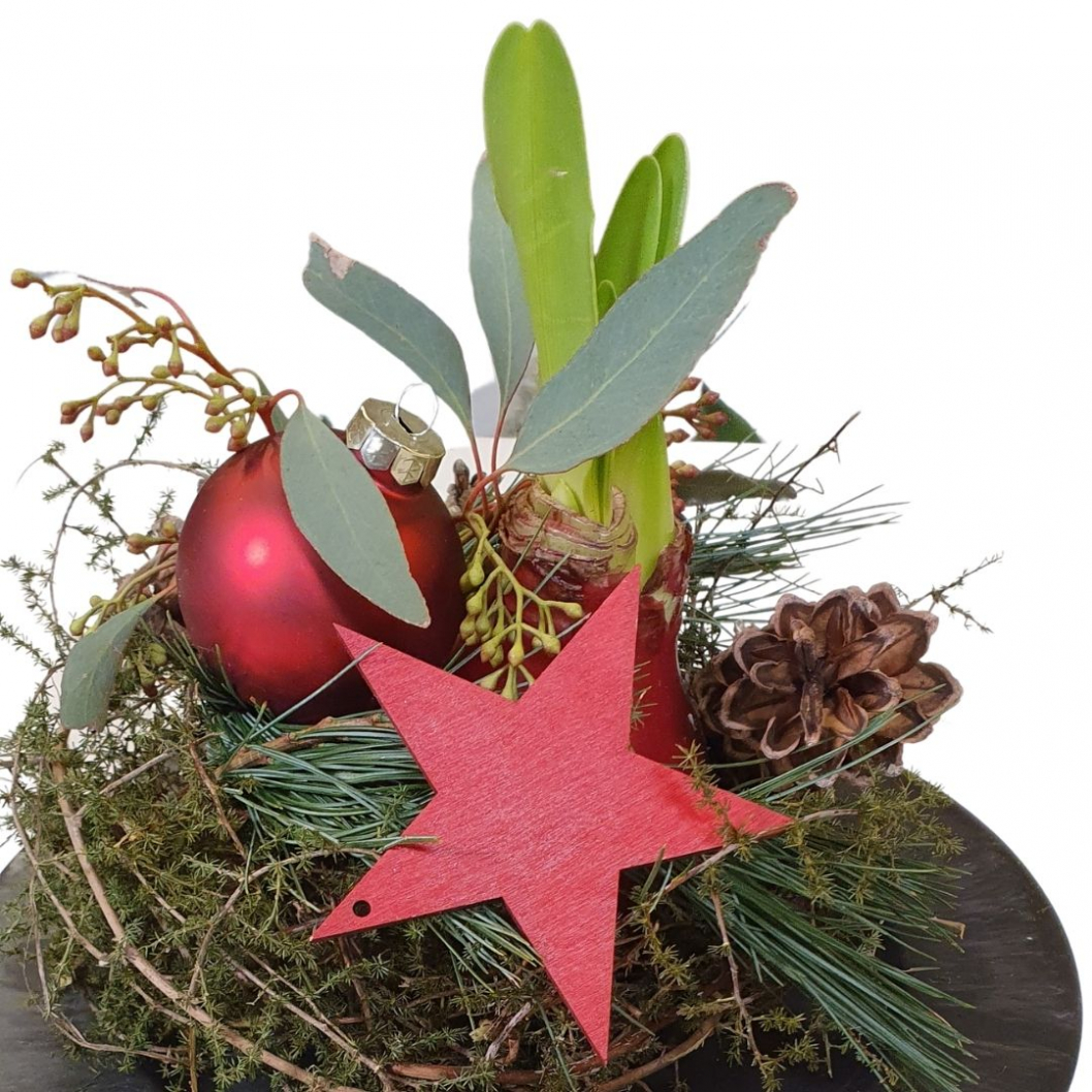 Amaryllis-wachs-diy-Weihnachtsdeko-Idee.jpg