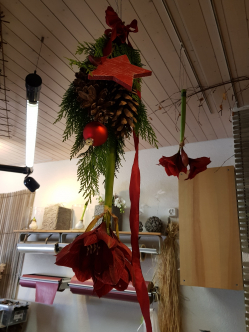 Amaryllis090.jpg