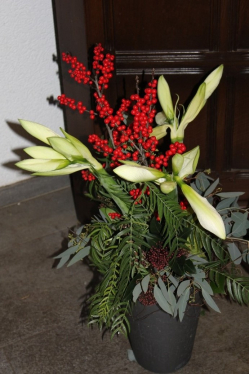 Amaryllisstrauss weiss mit roten beeren (ausgeliefert am 6. Dezember 2013 in Grosshöchstetten)