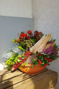 Aussen-Deko-Winter-Herbst-selber-machen-Pflanzen-arrangement.png
