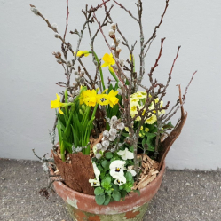 Aussendeko-mit-Fruehlingspflanzen.jpg