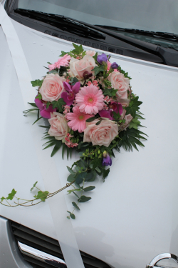 Autodekoration rosa weiss Preis 60.- (18. Mai 12)