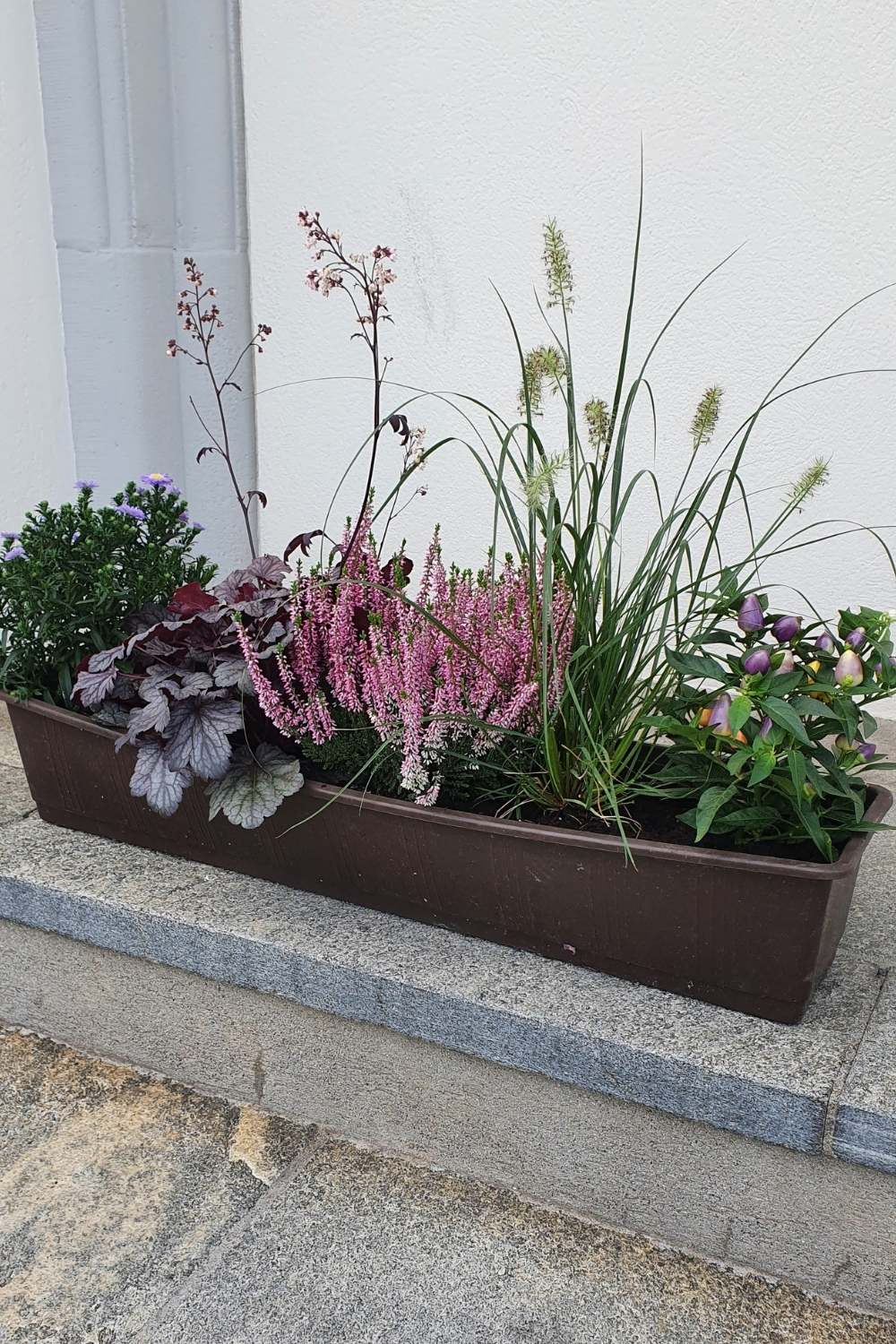 Balkonkasten-Dekorieren-Herbst-Pflanzen-exklusiver-Mix.jpg