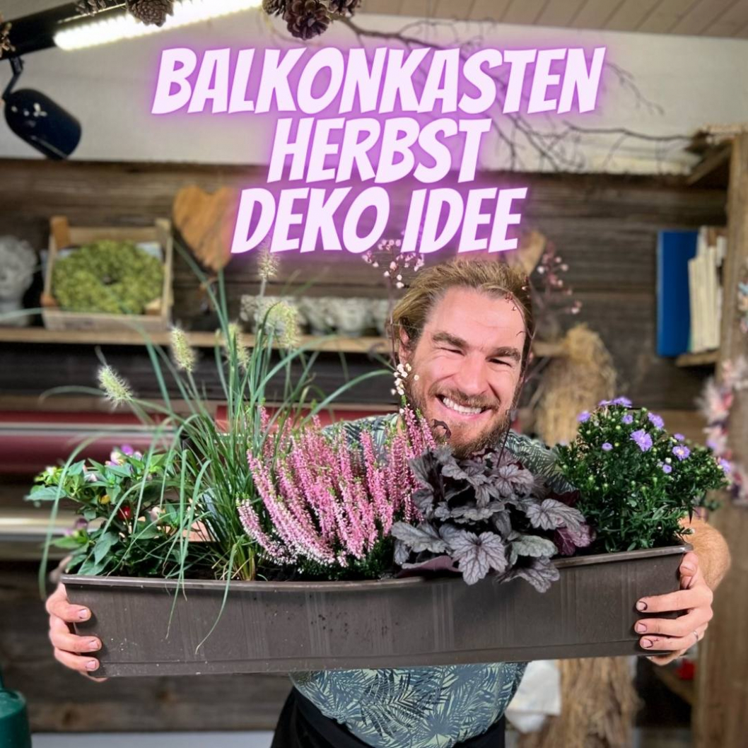 Balkonkasten-selber-fuellen-DIY-Anleitung.jpg