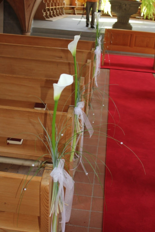 Calla Blüte als Bankschmuck im Juli 2012