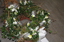Bepflanzter Korb mit Christrosenpflanzen (Preis: 350.- inklusive Schleife)