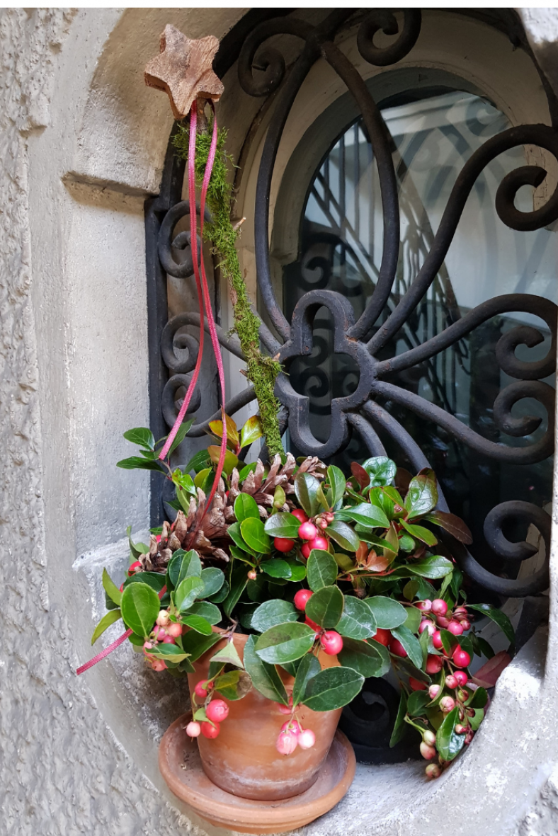 Billige-Weihnachts-Deko-fuer-draussen-Weihnachts-inspiration-in-rot.png