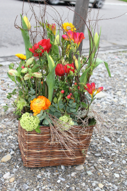 Gesteck frühlingshaft (ausgeliefert in Münsingen am 17. April 2015)