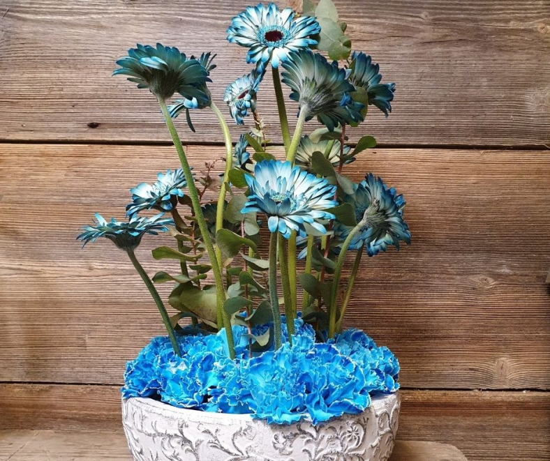 Blumengesteck-blau-Gerbera_2.jpg