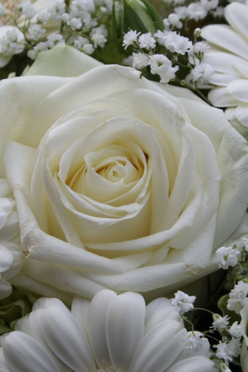 Blumenherz-weiss-selber-machen.jpg