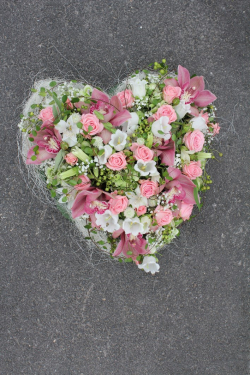 Blumenherz rosa (abgeholt im Laden am 3. September 2015)