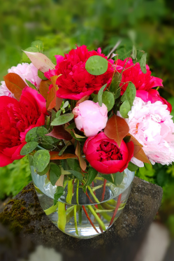 Blumenstrauss-Pfingstrosen-DIY.png