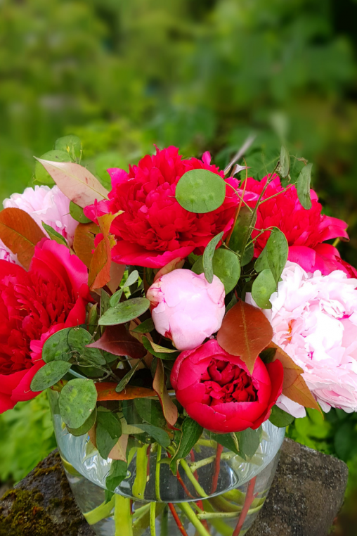 Blumenstrauss-Pfingstrosen.png