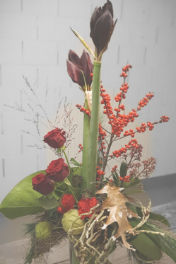 Blumenstrauss-rot-Weihnachten.png