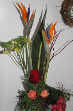Strelizienstrauss (ausgeliefert am 9. Februar 2015 in Rüfenacht)