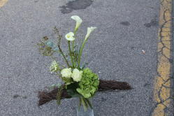 Calla Strauss weiss (ausgeliefert in Konolfingen am 10. September 2015)