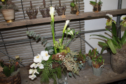 Blumenstrauss weiss mit Callablüten (ausgeliefert in Grosshöchstetten am 8. Januar 2015)