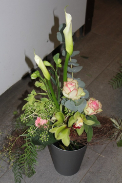 Strauss mit weissen Calla (ausgeliefert in Richigen am 15. Januar 2015)