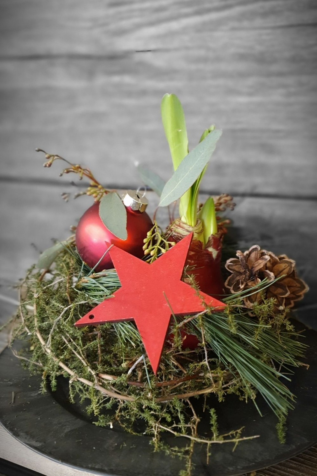 DIY-Amaryllis-dekoriren-Wachs-Amaryllis.jpg
