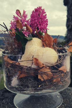 DIY-Deko-fuer-den-Fruehling-im-Glas-Hyazinthe-rosa-selber-machen.png
