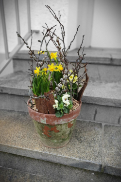 DIY-Fruehlingsdeko-Aussen.jpg