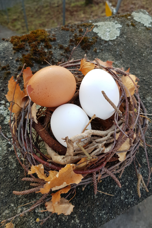 DIY-OSternest-selber-machen.png