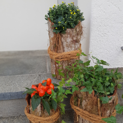 Deko-Idee-Herbstdekoration-selber-machen-Rindengefaesse-selber-machen.png