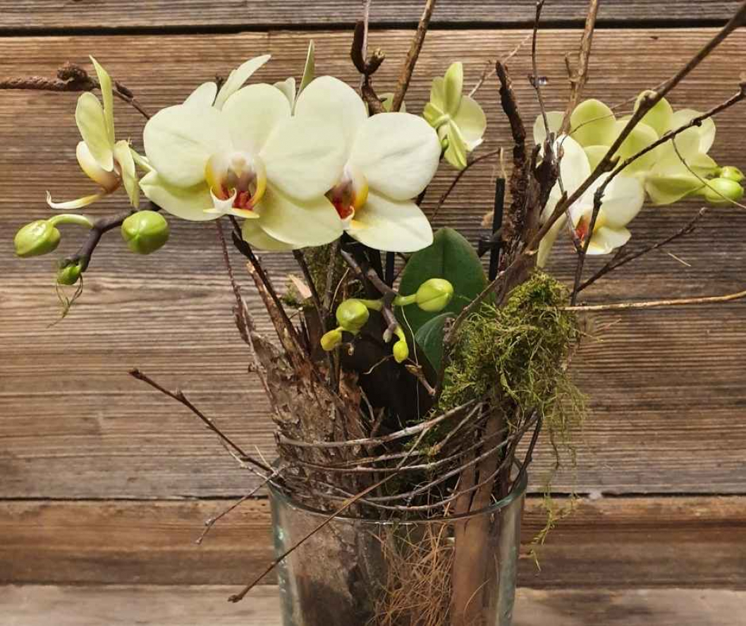 Deko-Idee-mit-ORchidee-Pflaze-zum-selber-machen.jpg