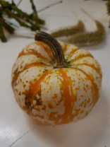 Farblich passender Zierkürbis