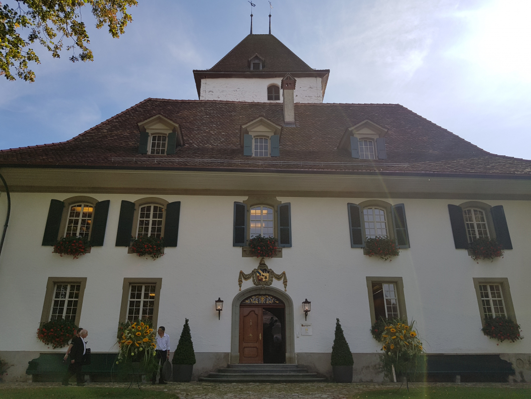 Dekoration-Schloss-Schlosswil-Sonnenblumen-Deko-Flora-Line-Grosshoechstetten38.jpg