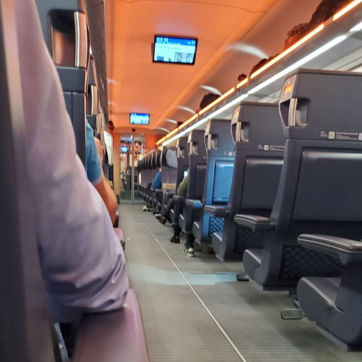 Der-Zug-ist-voll.jpg