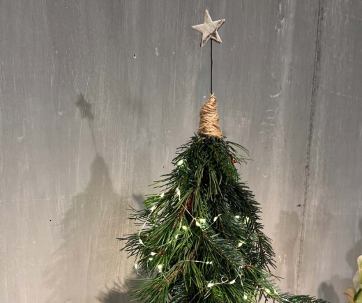 Der-kleine-Weihnachtsbaum.jpg