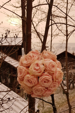Draussen-Art-Deko-Schnee-besdeckte-Rosen-Kugel-.png