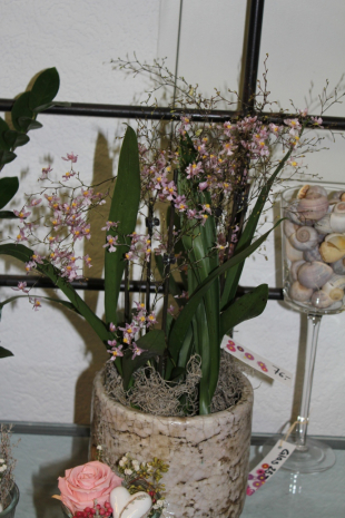 Oncidium Orchidee duftend nach Vanille