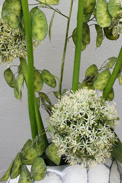 Elegante-Vasenfuellung-weiss-Gruen-DIY-Anleitung.jpg