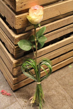 Esperance Rose mit Herz ( ausgeliefert in Zäziwil am 6. Januar 2016)