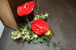 Exotischer Blumenstrauss rot - gelb (ausgeliefert in Konolfingen am 4. Februar 2016)