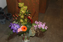 Blumenstrauss exotisch & farbenfroh (ausgeliefert am 15. April 2015 in Boll)