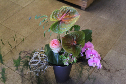 Exotischer Blumenstrauss (ausgeliefert in Grosshöchstetten am 17. Juni 2016)