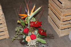 Exotischer Blumenstrauss (ausgeliefert in Rüfenacht am 26. April 2016)