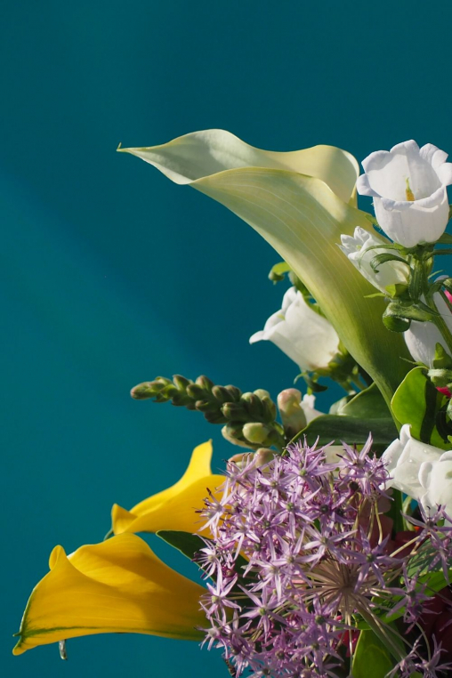 Farbexplosion-calla-bluetren-blumenstrauss.jpg