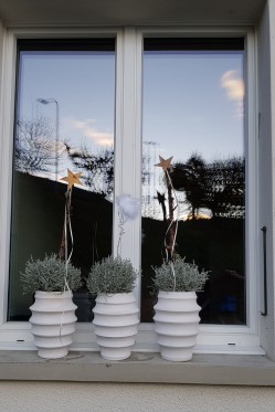 Fensterbank-Dekoration-Winter-Deko-Idee-weisse-Pflanzen-arrangiert.-DIY-selber-machen-Winterdeko.png