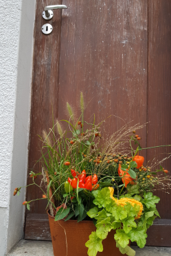 Fensterbank-Dekoration-herbst-DIY-ANleitung-HerbstDekoration-selber-machen_2.png