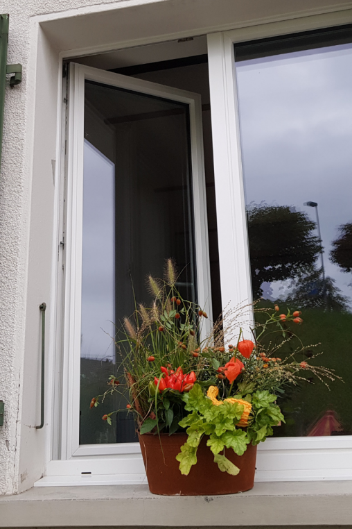 Fensterbank-Dekoration-zum-selber-machen-Herbst-Deko.png